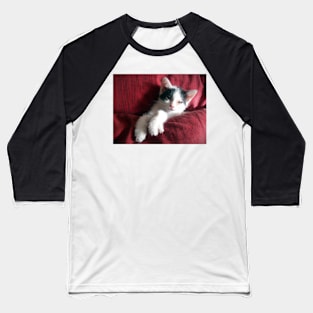 Cat in red Baseball T-Shirt